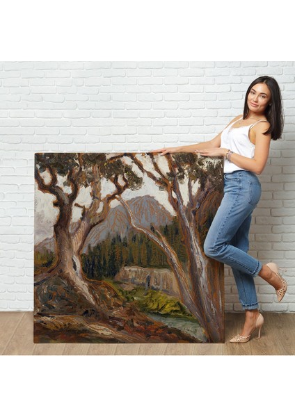 Loch Vale'den Long Zirvesi, Estes Park, Colorado TABLOSU-8349 fiyatları