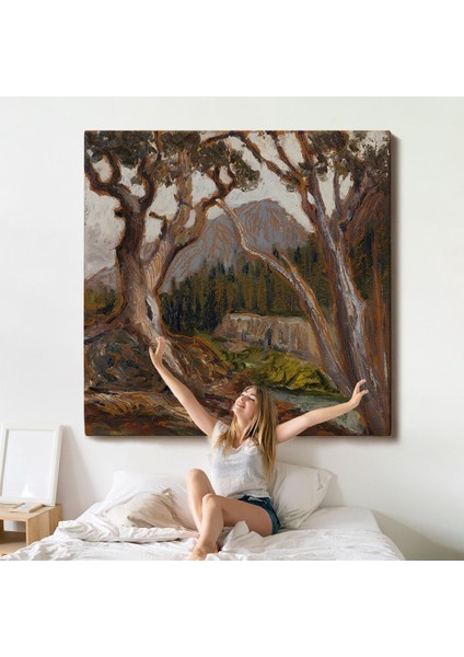 Loch Vale'den Long Zirvesi, Estes Park, Colorado TABLOSU-8349 indirimleri