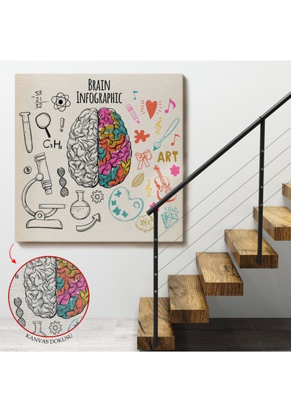 Fantastik Insan Beyni Tablosu - Beyin Cerrahi Hastanesi HEDIYESI-8305 fırsatları