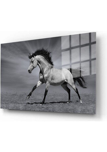 Eğlenceli Hayvanlar, Yapay Zeka Destekli, 3D Dekoratif Baskı Yatay Cam Tablo 219 fiyatları