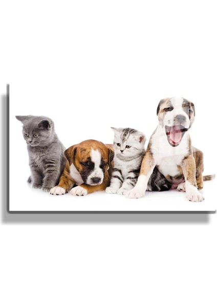 Eğlenceli Hayvanlar, Yapay Zeka Destekli, 3D Dekoratif Baskı Yatay Cam Tablo 470