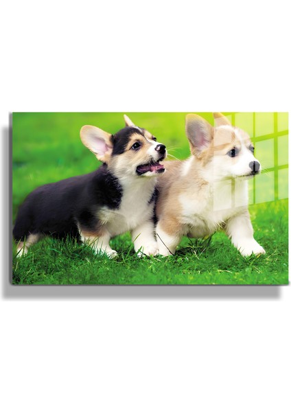 Eğlenceli Hayvanlar, Yapay Zeka Destekli, 3D Dekoratif Baskı Yatay Cam Tablo 120