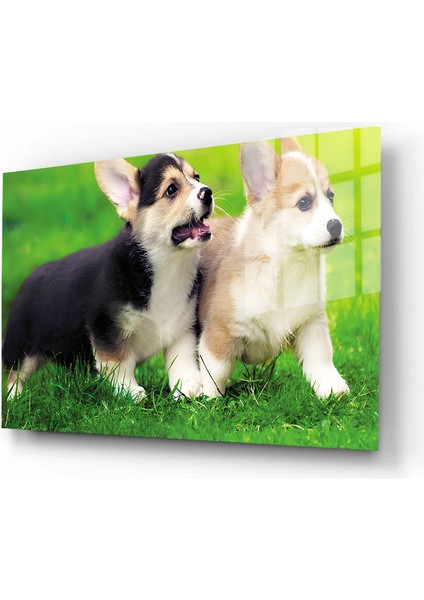 Eğlenceli Hayvanlar, Yapay Zeka Destekli, 3D Dekoratif Baskı Yatay Cam Tablo 120 fiyatları