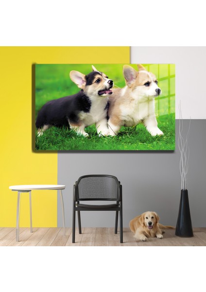 Eğlenceli Hayvanlar, Yapay Zeka Destekli, 3D Dekoratif Baskı Yatay Cam Tablo 120 modelleri