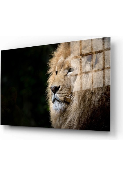 Eğlenceli Hayvanlar, Yapay Zeka Destekli, 3D Dekoratif Baskı Yatay Cam Tablo 649 fiyatları