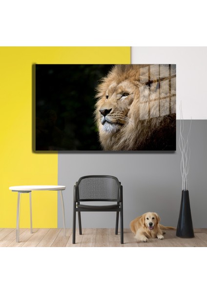 Eğlenceli Hayvanlar, Yapay Zeka Destekli, 3D Dekoratif Baskı Yatay Cam Tablo 649 modelleri