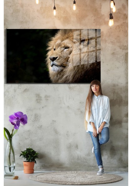 Eğlenceli Hayvanlar, Yapay Zeka Destekli, 3D Dekoratif Baskı Yatay Cam Tablo 649 fırsatları