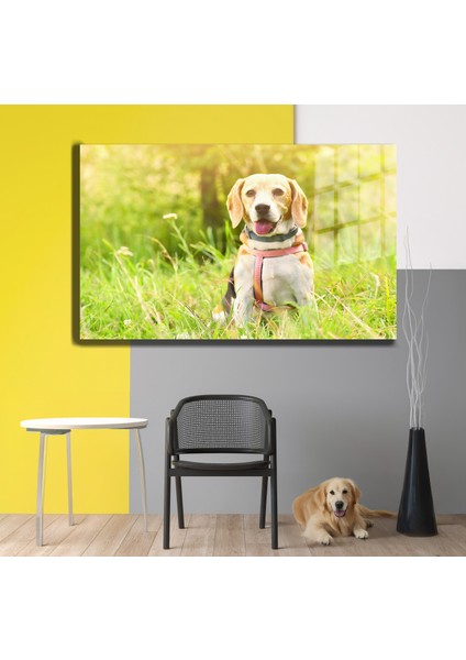 Eğlenceli Hayvanlar, Yapay Zeka Destekli, 3D Dekoratif Baskı Yatay Cam Tablo 378