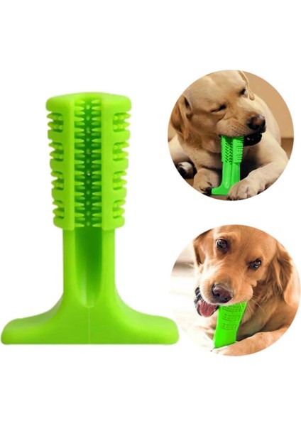 Köpek Diş Temizleyici ve Kaşıyıcı Sağlıklı Küçük Boy Oyuncak (4767) - MCT3234-9724