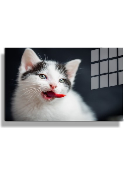 Eğlenceli Hayvanlar, Yapay Zeka Destekli, 3D Dekoratif Baskı Yatay Cam Tablo 590