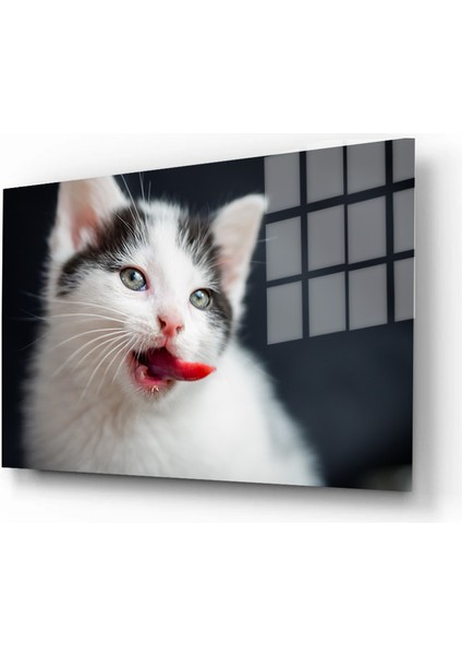 Eğlenceli Hayvanlar, Yapay Zeka Destekli, 3D Dekoratif Baskı Yatay Cam Tablo 590 fiyatları