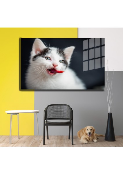 Eğlenceli Hayvanlar, Yapay Zeka Destekli, 3D Dekoratif Baskı Yatay Cam Tablo 590 modelleri