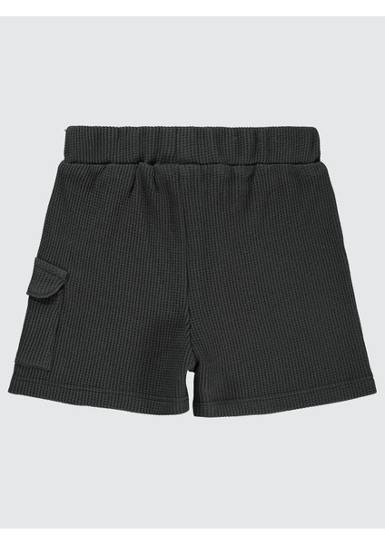 Erkek Çocuk Şort Antrasit Renkli Dinozor Desenli Normal Bel 6-18 Ay fiyatları