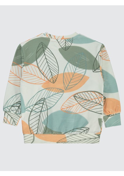 Erkek Çocuk Sweatshirt 2-5 Yaş Mercan fiyatları