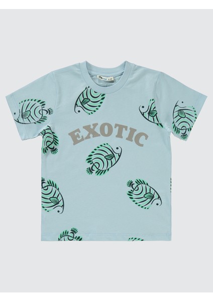 Erkek Çocuk Takım 2-5 Yaş Mavi modelleri