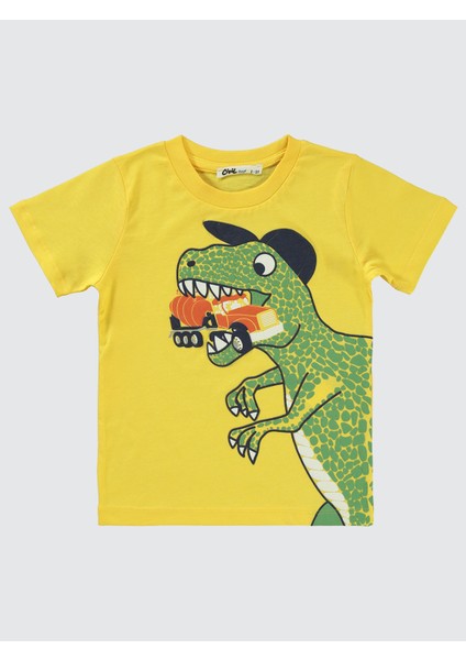 Erkek Çocuk Takım 2-5 Yaş Sarı modelleri