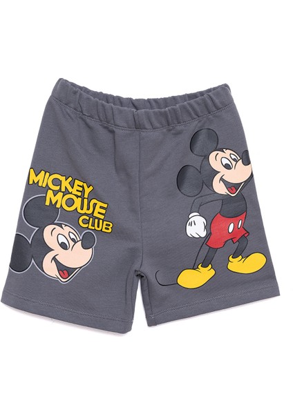 Mickey Mouse Erkek Şort Erkek Bebek