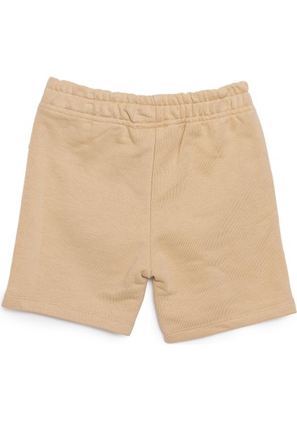 Erkek Şort Erkek Bebek fiyatları