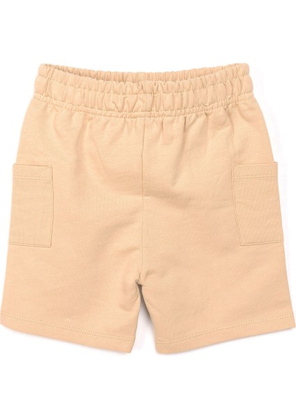 Erkek Şort Erkek Bebek fiyatları