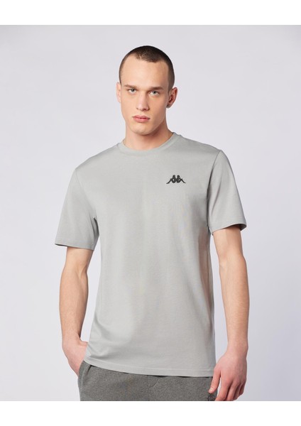 Sarey Tee Erkek Gri Regular Fit Tişört
