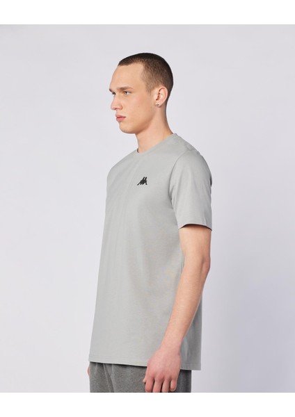 Sarey Tee Erkek Gri Regular Fit Tişört fiyatları