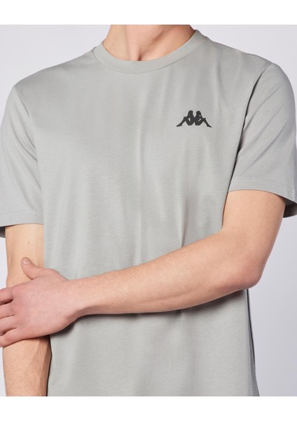Sarey Tee Erkek Gri Regular Fit Tişört fırsatları