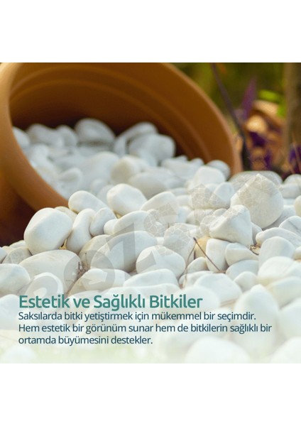 Beyaz Dolomit Taş Dere Çakıl Taşı Bahçe Peyzaj Süs Taşı Saksı Teraryum Akvaryum Saksı Dipleri Kar Beyaz Taşlar