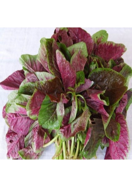 Doğal Kırmızı Amarant Tohumu (100 Tohum)