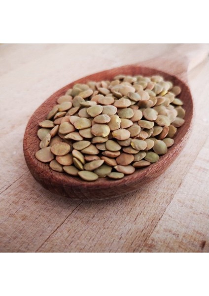 Doğal Geleneksel Yeşil Mercimek Tohumu (20 Tohum)