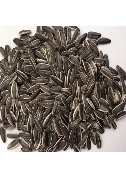 Siyah Çerezlik Çitlemelik Ayçiçeği Çekirdek Tohumu (1 Kg)