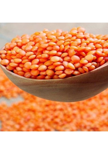 Doğal Geleneksel Kırmızı Mercimek Tohumu (20 Tohum