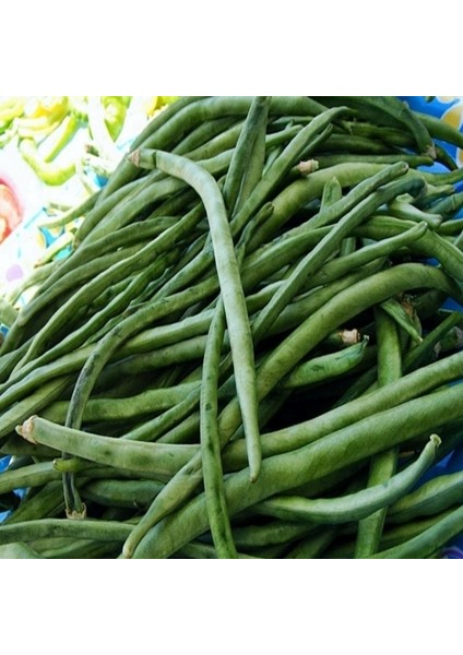 Sırık Karnıkara Börülce Tohumu (1 Kg) fırsatları