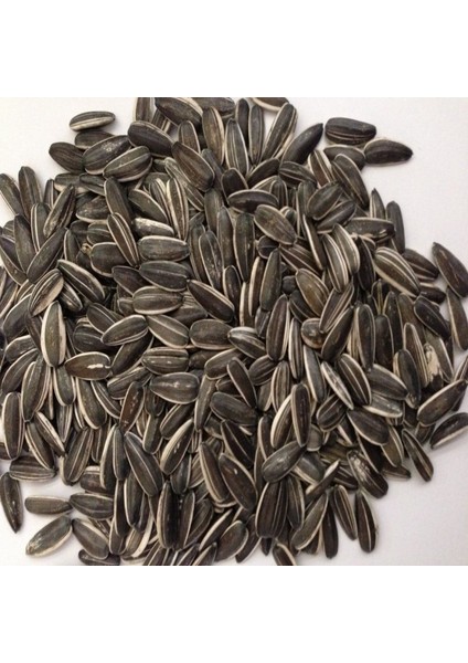 Doğal Siyah Çerezlik Çitlemelik Ayçiçeği Çekirdek Tohumu (2,5 Kg)