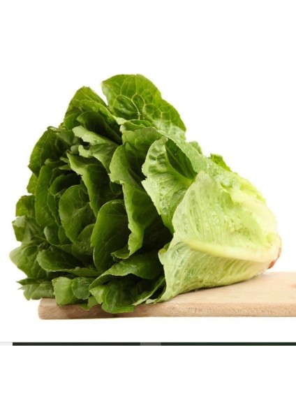 Gelenesel Ata Tohumları Yedikule Marul Tohumu (100 Tohum)