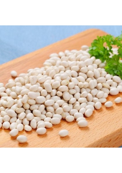 Geleneksel Kurufasulyelik Piyazlık Ispir Şeker Fasulyesi Tohumu (20 Tohum)