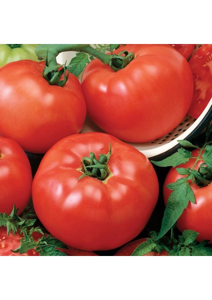 Ata Tohumları 2121 Etli Oturak Domates Tohumu (50 Tohum)