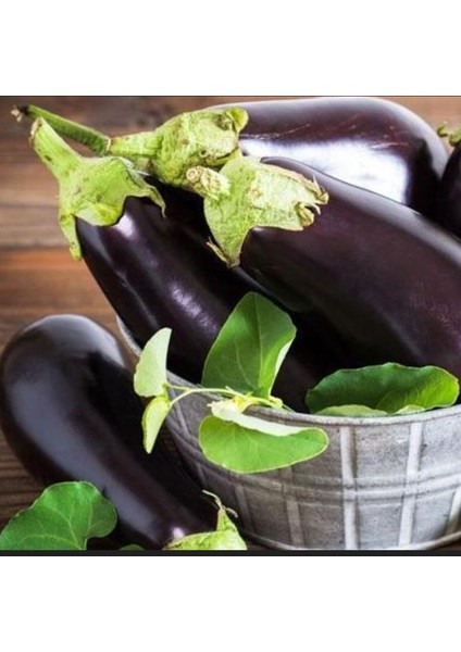 Ata Tohumları Geleneksel Kebablık Mangallık Antep Balcan Patlıcan Tohumu (70 Tohum)