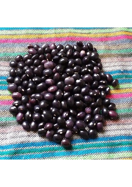 Geleneksel Ata Tohumları Poletschka Fasulye Tohumu (10 Tohum)