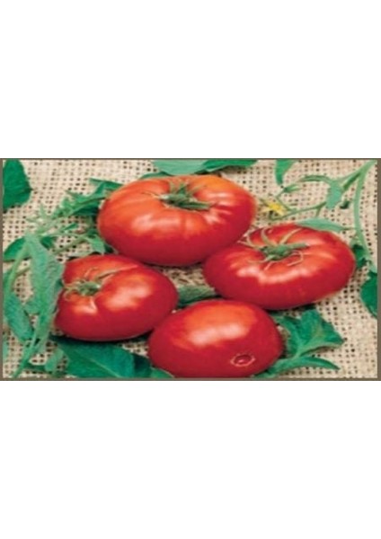 Doğal Brandywine Red Domates Tohumu(20 Adet)