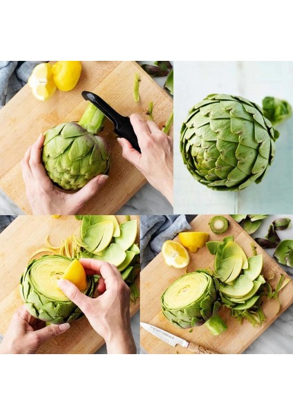 Ata Tohumları Geleneksek Yeşil Green Globe Enginar Tohumu(10 Tohum)