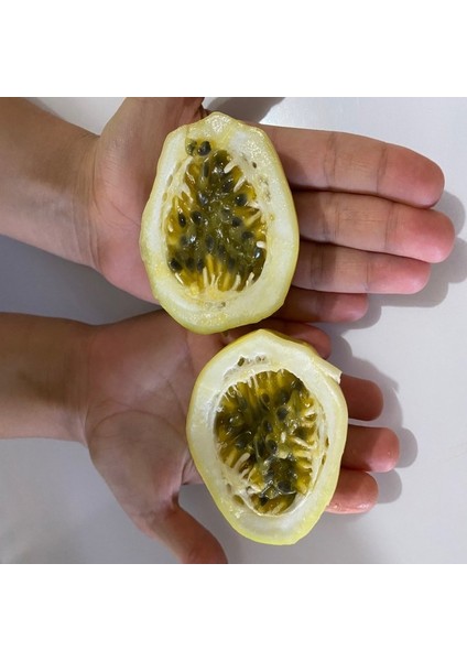 Özel Dev Meyveli Passiflora Edulis Var Flavicarpa Tohumu (30 Tohum)