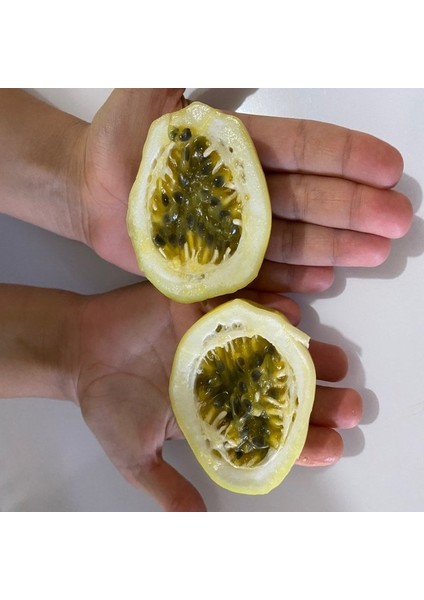 Özel Dev Meyveli Passiflora Edulis Var Flavicarpa Tohumu (3 Tohum)