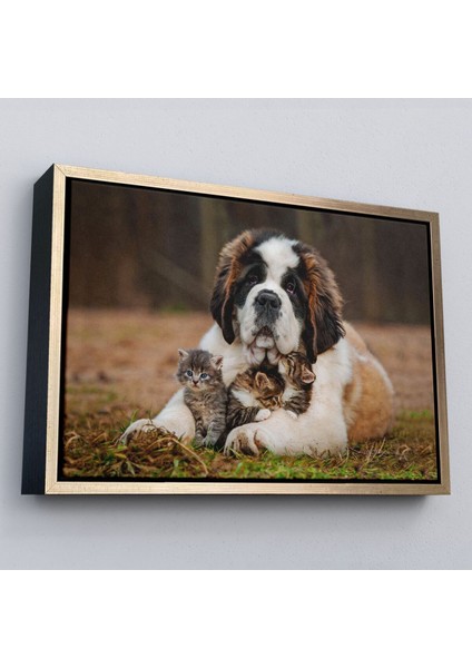 Çerçeveli St. Bernard Köpek ve Yavru Kediler Dekoratif Kanvas TABLO-1124
