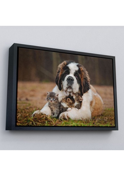 Çerçeveli St. Bernard Köpek ve Yavru Kediler Dekoratif Kanvas TABLO-1124