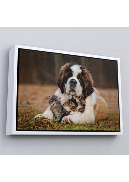 Çerçeveli St. Bernard Köpek ve Yavru Kediler Dekoratif Kanvas TABLO-1124