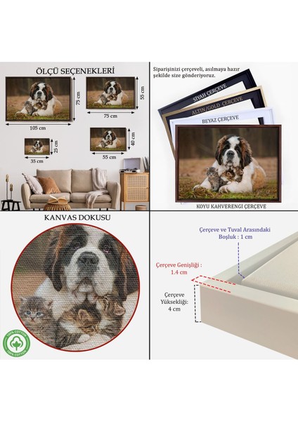 Çerçeveli St. Bernard Köpek ve Yavru Kediler Dekoratif Kanvas TABLO-1124