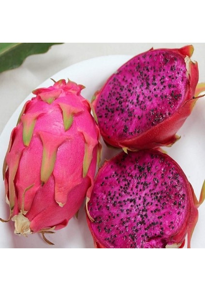 Doğal Içi Kırmızı Ejder Meyvesi(Pitaya) Tohumu (100 Tohum) modelleri