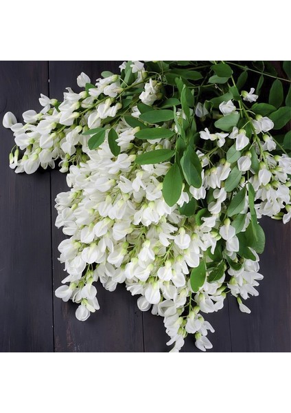 Yoğun Kokulu Beyaz Çiçekli Akasya Tohumu (5 Tohum) fırsatları