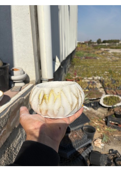 Dalgalı Dekoratif Taş Saksı Orkide ve Çiçek Saksısı