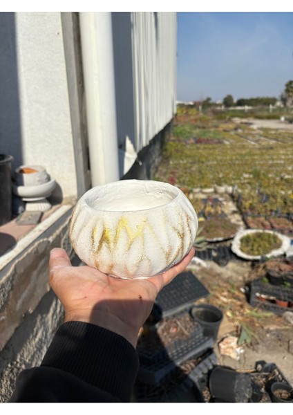 Dalgalı Dekoratif Taş Saksı Orkide ve Çiçek Saksısı